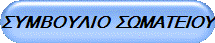 ΣΥΜΒΟΥΛΙΟ  ΣΩΜΑΤΕΙΟΥ